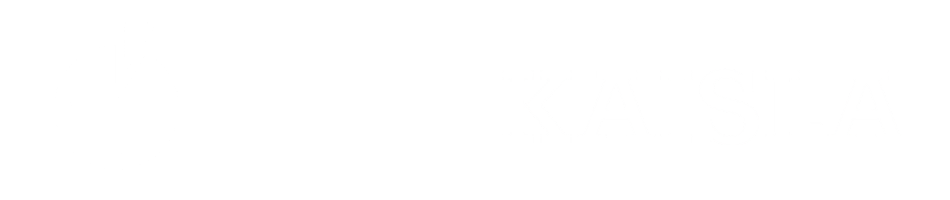 MediKaisla logo_v3 valkoinen-1